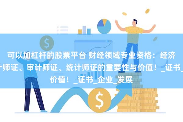 可以加杠杆的股票平台 财经领域专业资格：经济师证、会计师证、审计师证、统计师证的重要性与价值！_证书_企业_发展