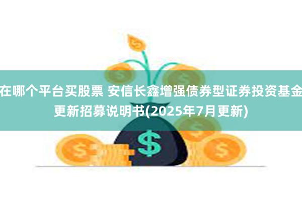 在哪个平台买股票 安信长鑫增强债券型证券投资基金更新招募说明书(2025年7月更新)