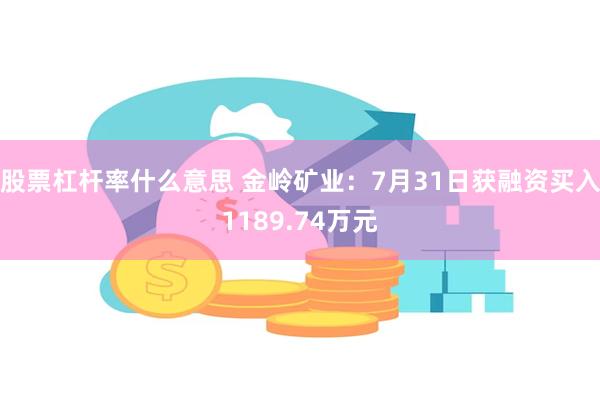 股票杠杆率什么意思 金岭矿业：7月31日获融资买入1189.74万元