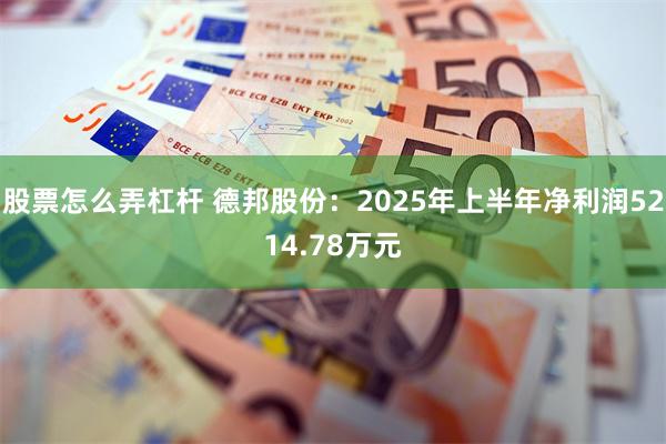 股票怎么弄杠杆 德邦股份：2025年上半年净利润5214.78万元