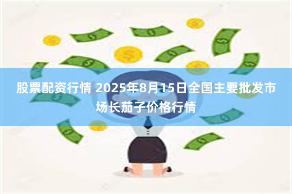股票配资行情 2025年8月15日全国主要批发市场长茄子价格行情