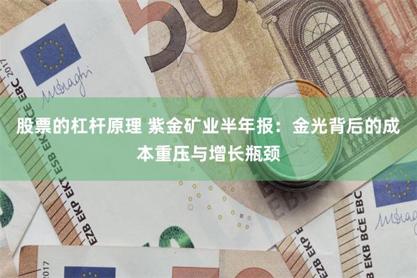 股票的杠杆原理 紫金矿业半年报：金光背后的成本重压与增长瓶颈